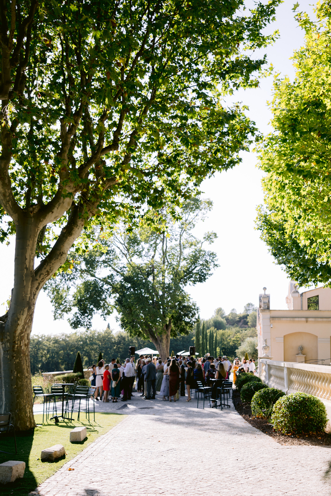 pretty shrub in a wedding domaine in the south of france 